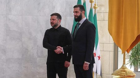 تحالف أمني غير متوقع: زيلينسكي يزور دمشق ويبحث تعاونًا مع سوريا رغم الوجود العسكري الروسي