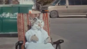 «تنظيم الإعلام»: استدعاء منتجي بودكاست «قطو الشوارع» وإيقاف ترخيص الشركة المنتجة – أخبار السعودية