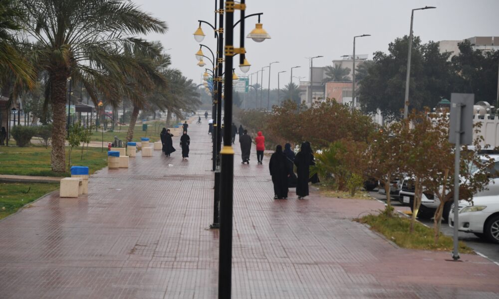 طقس السعودية: أمطار متفاوتة الغزارة تستمر حتى الأحد