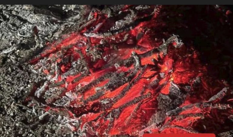 ضبط مواطن لإشعاله النار في غير الأماكن المخصصة لها بمحمية الإمام فيصل بن تركي