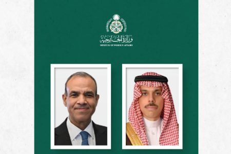 وزير الخارجية يبحث مستجدات الأوضاع الراهنة مع نظيره المصري