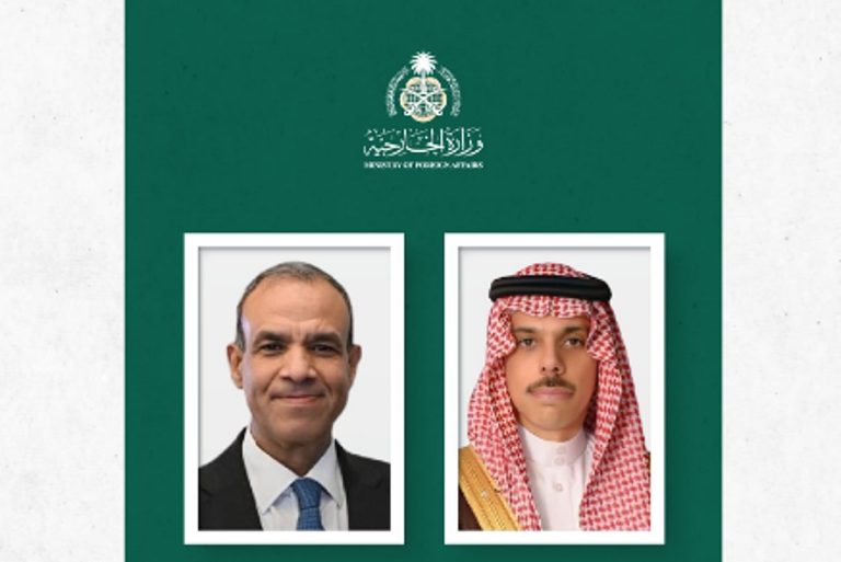 وزير الخارجية يبحث مستجدات الأوضاع الراهنة مع نظيره المصري