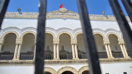 تونس: استقبال شعبي لريان الحمزاوي بعد انتهاء محكوميته في قضية “التآمر على أمن الدولة 2”