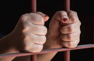 زلزال في المحكمة الاقتصادية.. أشرف زكي يطالب بسجن ياسمينا المصري – أخبار السعودية