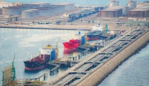 «الإحصاء»: 55.6% نقطة ارتفاع مؤشر ثقة الأعمال في السعودية – أخبار السعودية