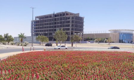 زراعة مليون وردة تعزز المشهد الحضري في الحدود الشمالية