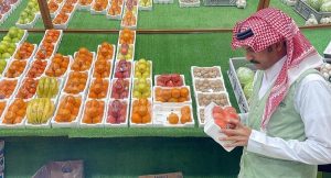 «بيئة الباحة» تنفذ 132 جولة رقابية خلال أيام عيد الأضحى