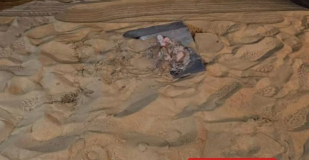 الأمن البيئي يضبط مواطنًا مخالفًا في المنطقة الشرقية