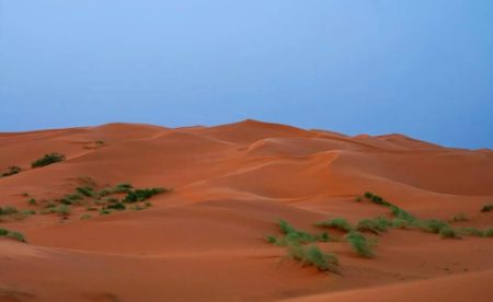 «النفود الكبير».. لوحة رملية ساحرة ترسم مشهدًا طبيعيًّا جنوب رفحاء