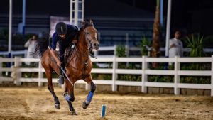 مرابط الخيل في الطائف.. تجربة تعيد تقديم الفروسية للسياح