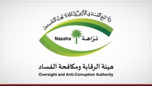 تنظيم جديد يحدد صلاحيات التوقيف والتفتيش والحجز على الأموال في قضايا الفساد