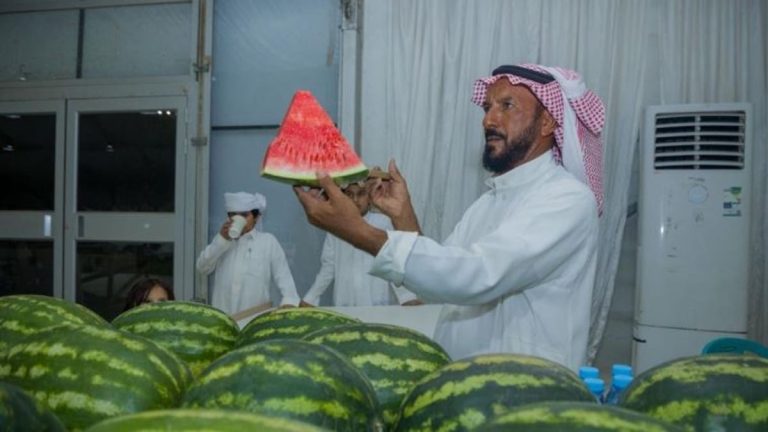 بدعم أمانة الرياض.. انطلاق مهرجان الخرج للمزارعين والمنتجات الموسمية بمشاركة واسعة