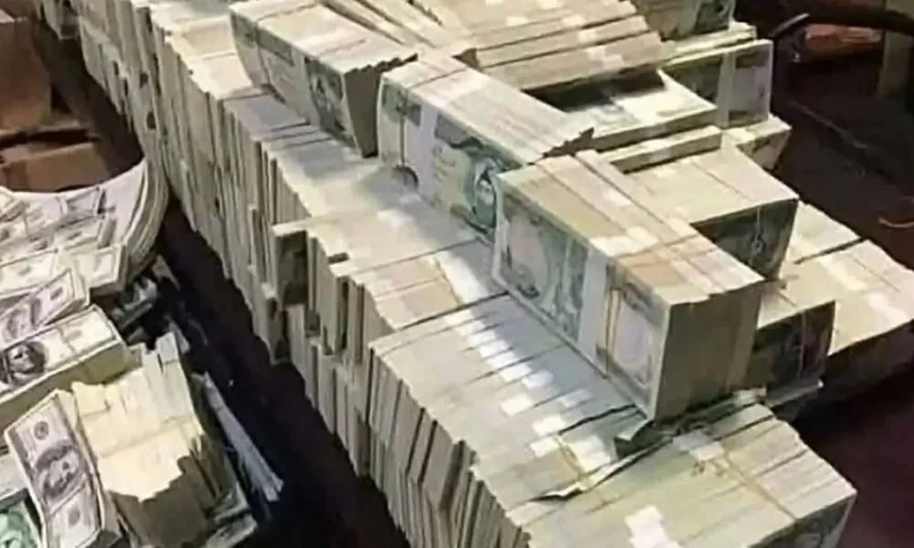 ملاحقة شقيقين عبر الإنتربول بتهمة اختلاس 500 مليون دولار