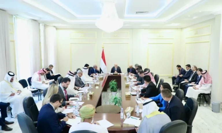 العليمي: الطائرة الإيرانية نقلت خبراء عسكريين إلى صنعاء