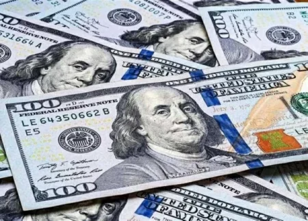 مصر: «الأخضر» يعود للصعود.. اقترب من 50 جنيهاً – أخبار السعودية