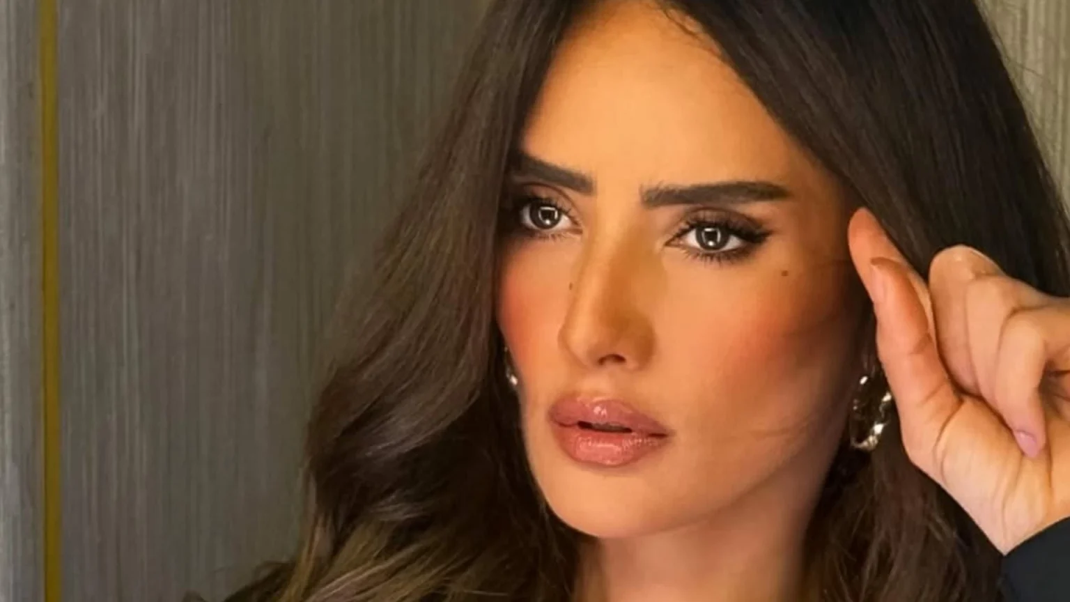 تبرئة المتهم.. زينة تخسر قضية «الكلب المطارد» – أخبار السعودية