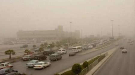 حالة الطقس اليوم الأربعاء 8-2-1448 في المملكة.. أجواء شديدة الحرارة وأتربة