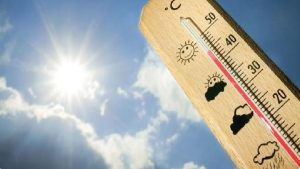 13 يومًا من القيظ تبدأ مع المرزم في المملكة
