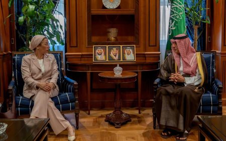 الجبير يبحث مع مسؤولة أممية تعزيز التعاون الدولي في مكافحة التصحر