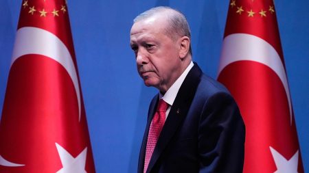 أردوغان يكشف إمكانية انضمام مصر إلى اتفاقية مكة للدفاع المشترك