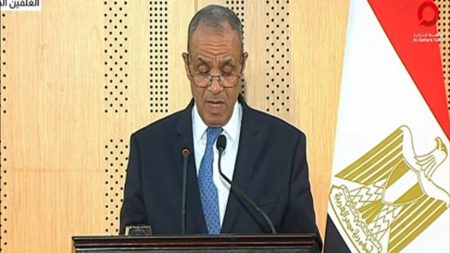 وزير الخارجية المصري يدعو إسرائيل للالتزام بخطة ترامب بشأن غزة وتنفيذ المرحلة الثانية