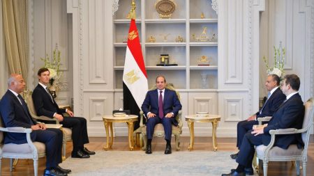 الرئيس المصري يستقبل صهر «ترامب» في العلمين
