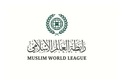 إدانة مجلس الأمن لهجمات الحوثي: ترحيب إسلامي واسع