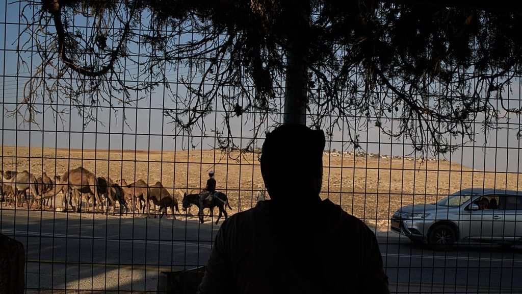 من سرقة الينابيع إلى “جنة عدن”.. كيف يستولي المستوطنون على مياه الضفة الغربية المحتلة؟
