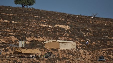 دول عربية وإسلامية ترحّب بقرار بريطانيا حظر منتجات المستوطنات الإسرائيلية