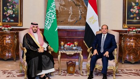 ممرّان يضغطان على حسابات القاهرة والرياض.. هرمز وباب المندب يتصدران لقاء السيسي وبن سلمان