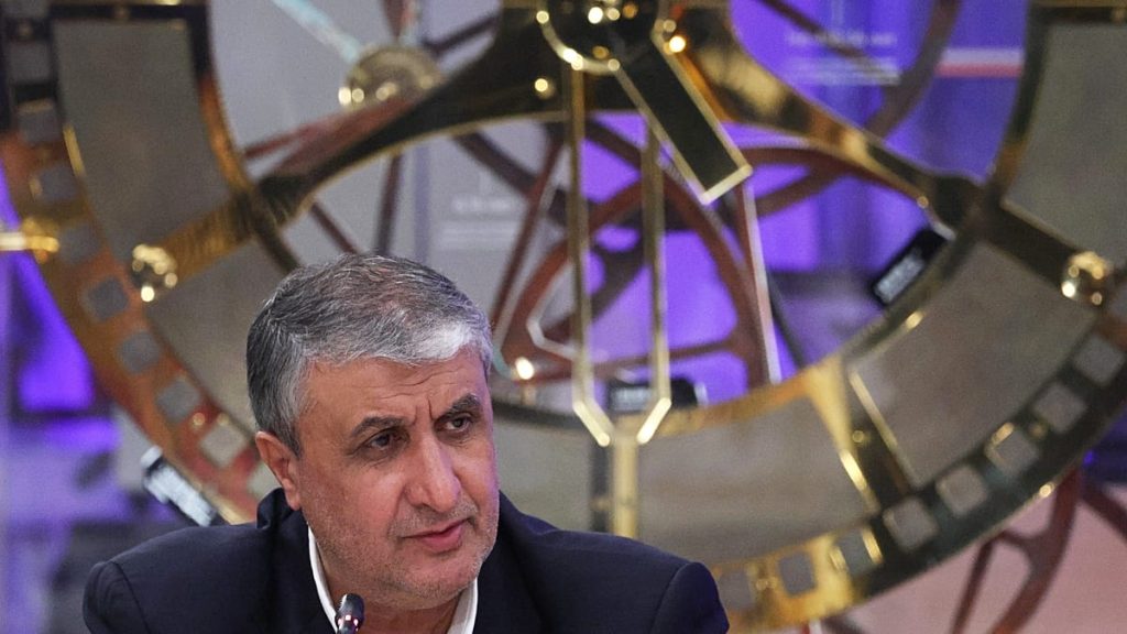 “تصرف صبياني من واشنطن”.. إيران تنتقد منع وفدها من حضور اجتماع الوكالة الذرية في فيينا