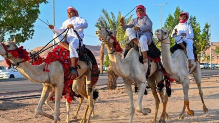 مسيرات الهجن والخيل تجسد فرحة أهالي حقل باليوم الوطني