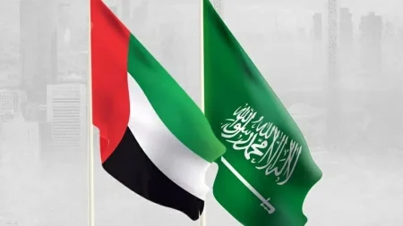 الإمارات تدين هجمات الحوثي على المملكة وتؤكد تضامنها الكامل