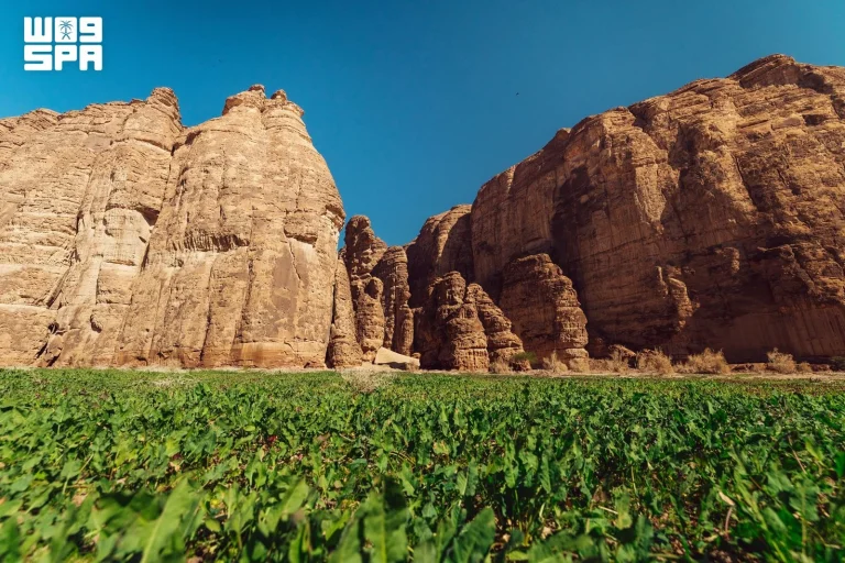 السياحة المسؤولة في العلا تحصد الجائزة الذهبية عالمياً