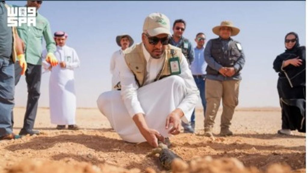 إطلاق أكثر من 140 ضبًّا في محمية الملك خالد الملكية