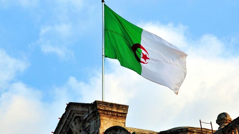 مجلس الأمة الجزائري يصادق على نشر قوات عسكرية في النيجر.. ما المهام التي ستُكلّف بها؟