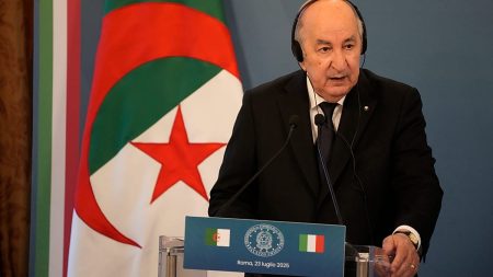 “البعض تمادى”.. تبون يكشف إرسال مقاتلات جزائرية إلى النيجر لإحباط محاولة انقلاب