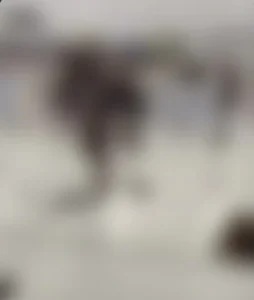 تفاصيل القبض على شخص في مكة أثار الهلع والذعر بين المارة