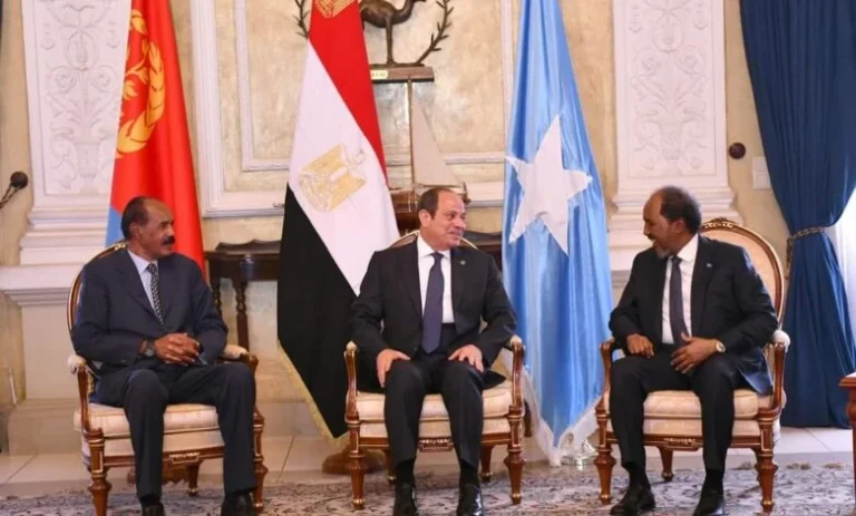 قمة العلمين: 5 ملفات ساخنة ترسم مستقبل القرن الأفريقي