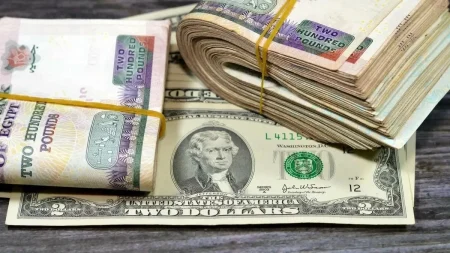 قفزة مفاجئة للدولار في مصر.. العملة الأمريكية تكسر حاجز 55 جنيهاً – أخبار السعودية