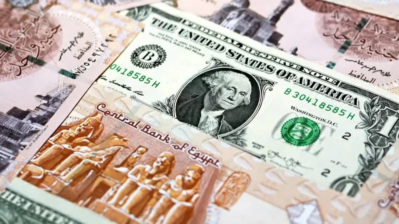 الدولار يواصل مكاسبه في مصر.. ويتجاوز 56 جنيهاً – أخبار السعودية