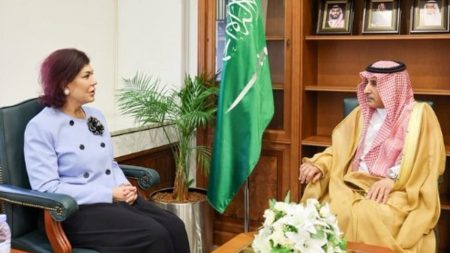 وكيل «الخارجية» يبحث المستجدات الإقليمية مع السفيرة العراقية